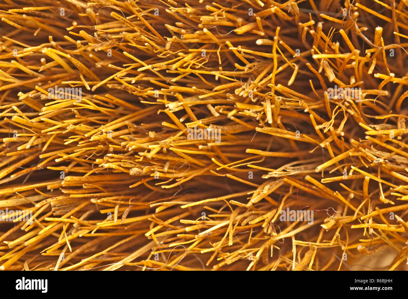 Closeup Of The Bristles Of An Besom Stock Photo