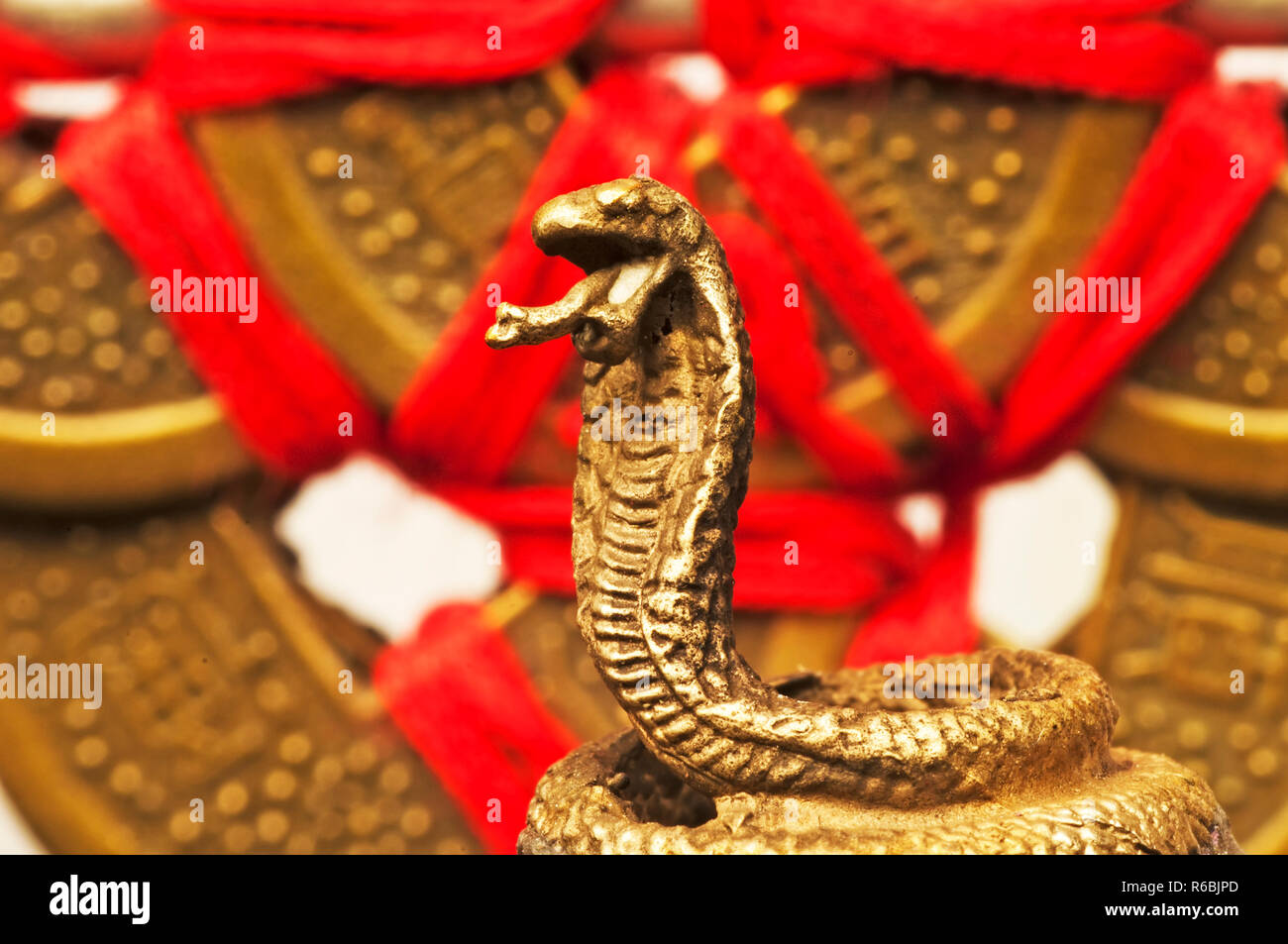 Feng Shui Year Of The Snake Stock Photo - Alamy