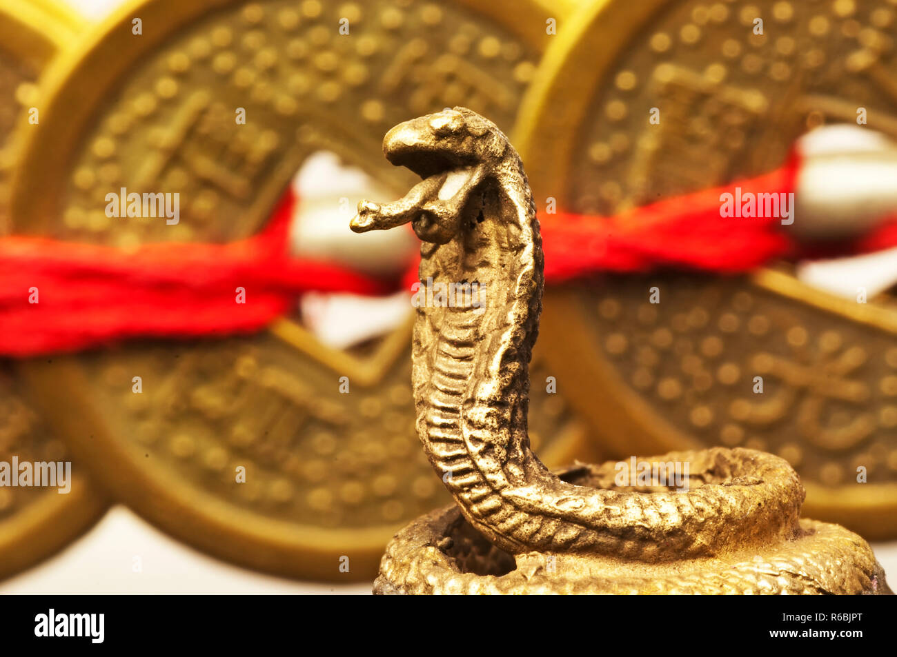 Feng Shui Year Of The Snake Stock Photo - Alamy
