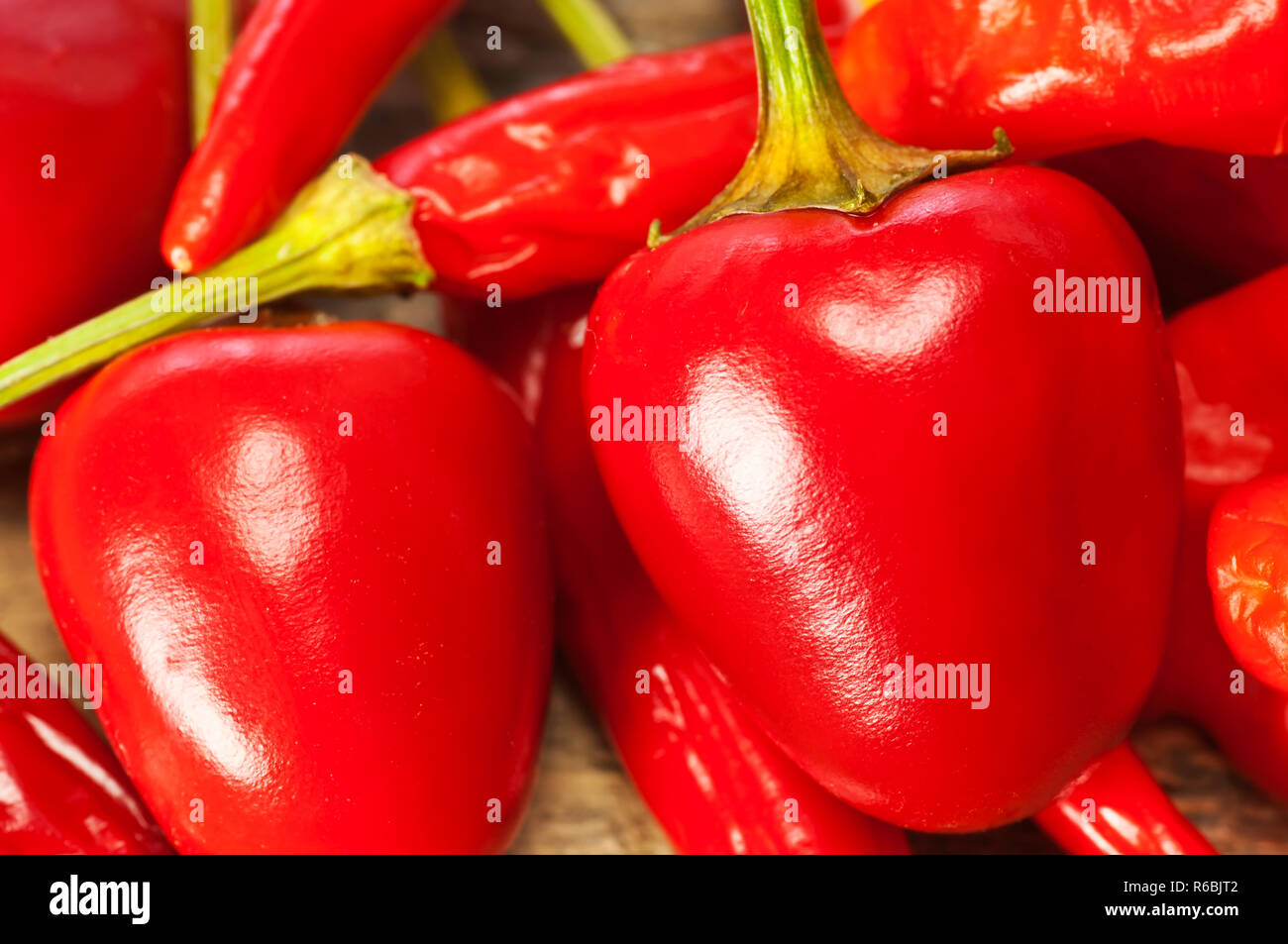 Cascabel Chili Stock Photo Alamy