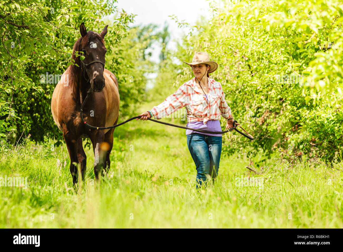 american girl western horse