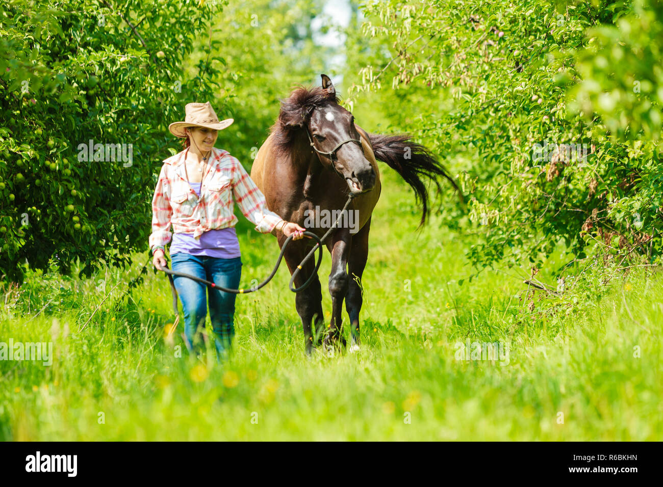 American girl western best sale horse