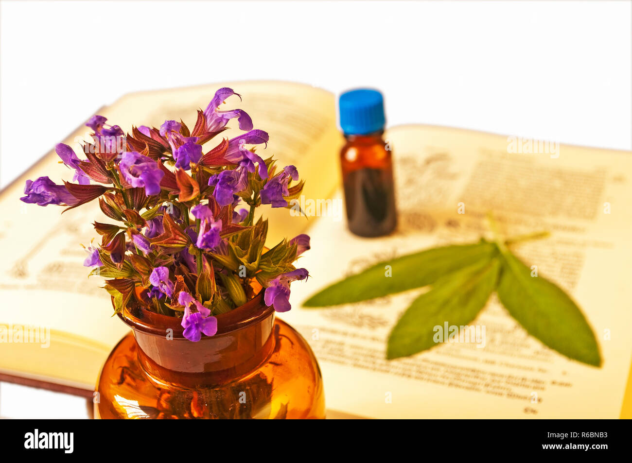 Sage With Herbal Tincture And Medieval Book Stock Photo Alamy