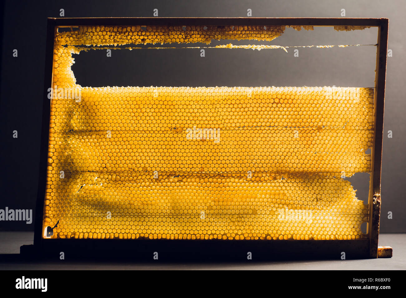 Hive Texture Background texture and pattern section of wax honeycomb from bee hive ...