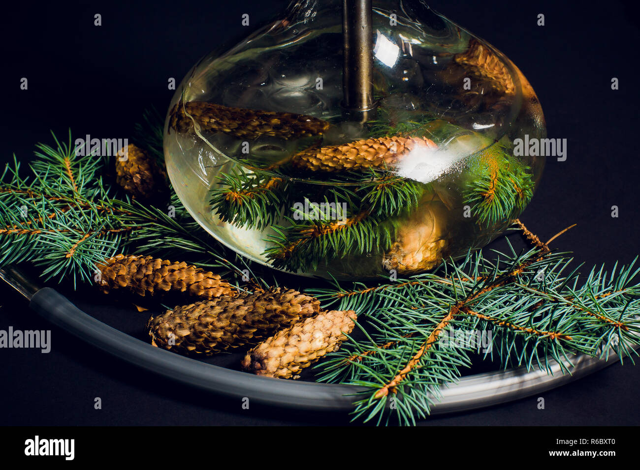 New Year's hookah, the smell fir hookah, there are cones and branches