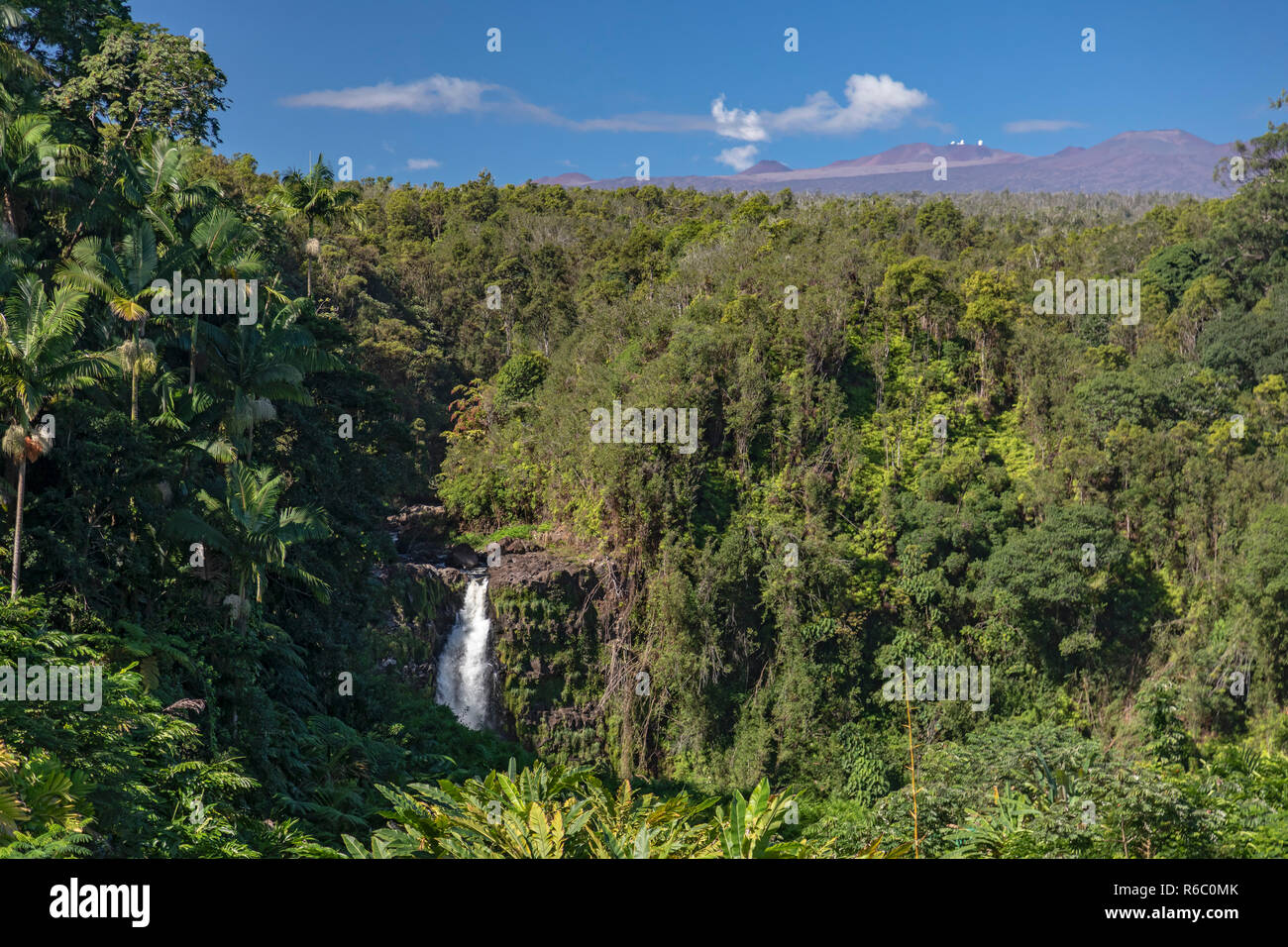 Honomū, Hawaii - Akaka Falls. The dormant volcano, 13,802' Mauna Kea, and the observatories near its summit, are visible in the distance. Stock Photo
