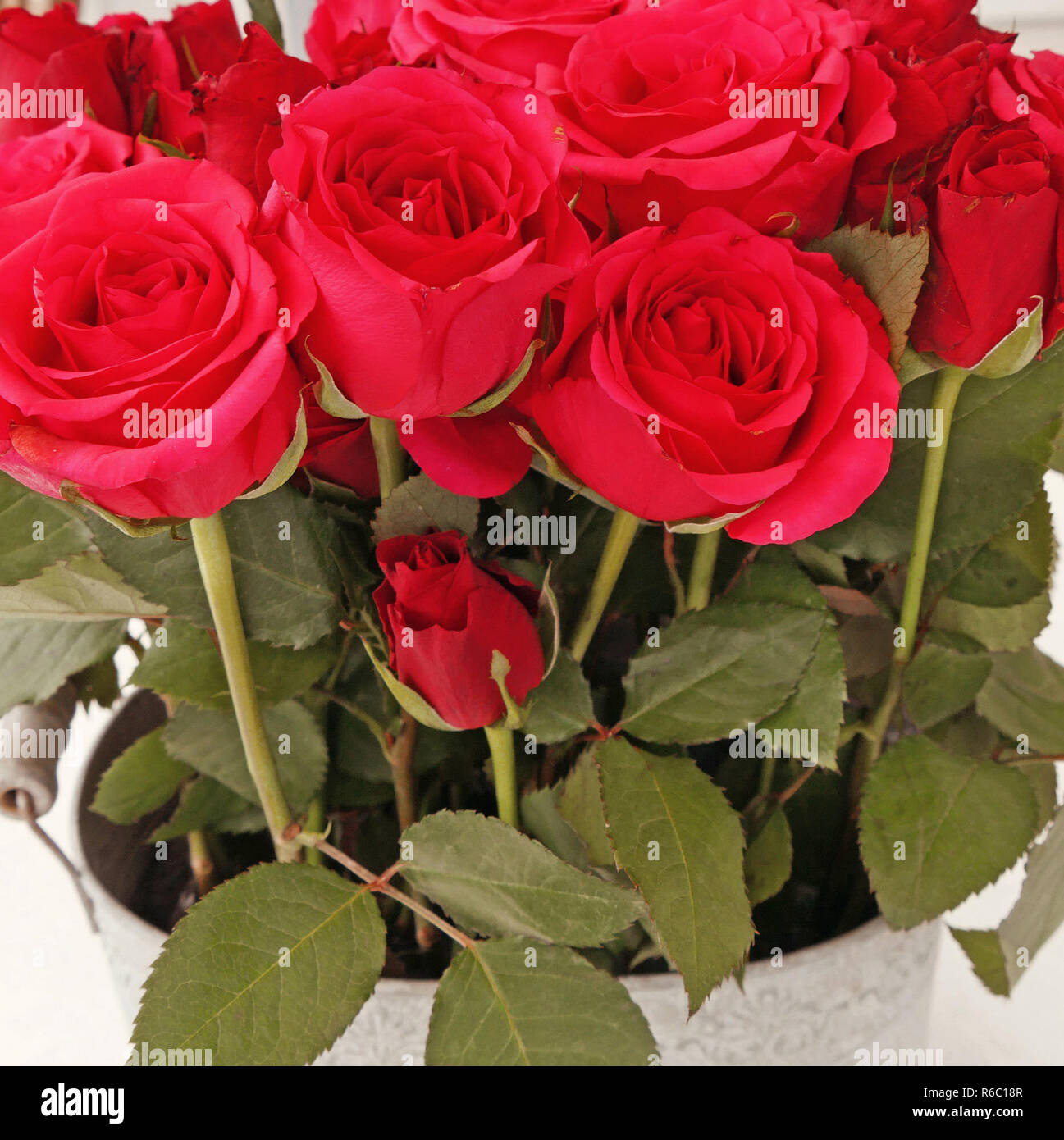 Love and friendship red roses hi-res stock photography and images - Alamy