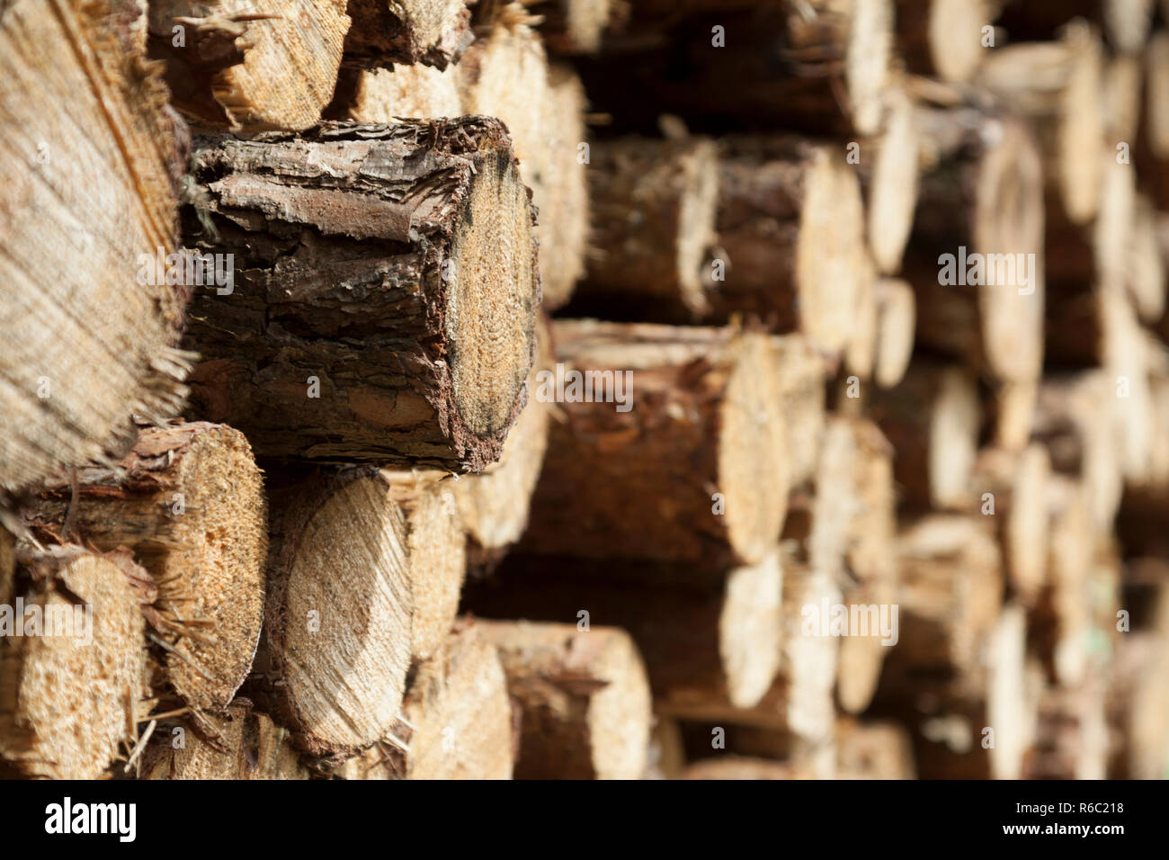 Festmeter hi-res stock photography and images - Alamy