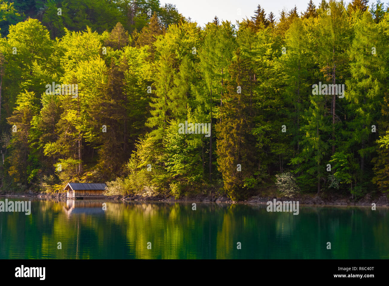 Magnificent landscape view of a wooden boat shed at the shore of the famous Alpsee lake in front of a forest border in Bavaria, Germany. The tall... Stock Photo