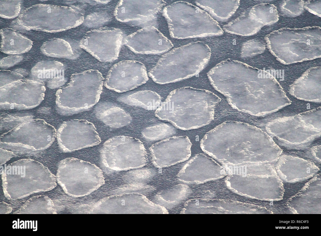 Pancake ice forms on still water as winter sets in. Kelly Jacques, NSF