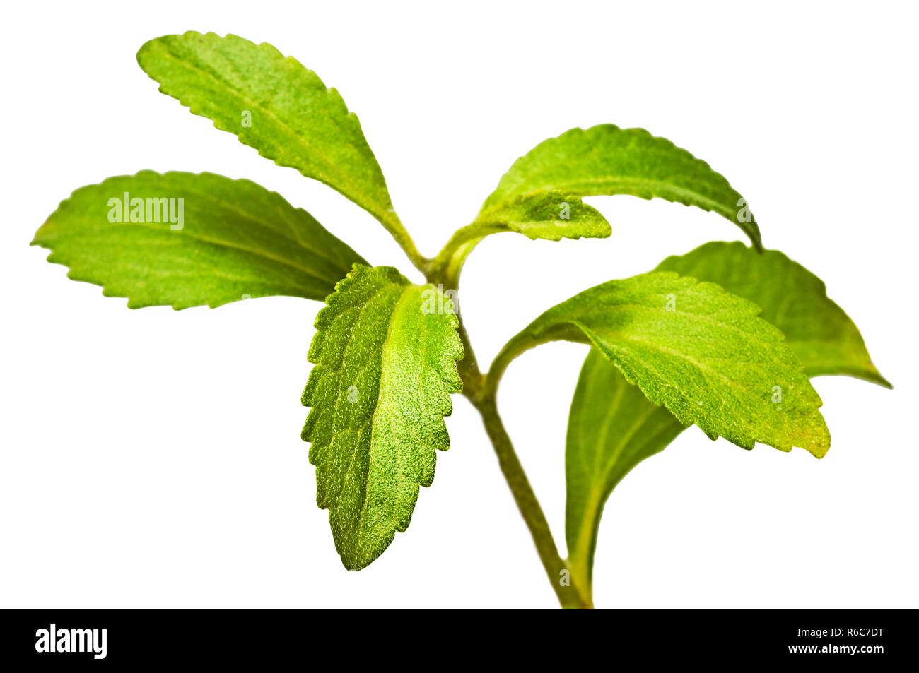 Soft drinks sugar Cut Out Stock Images & Pictures Alamy