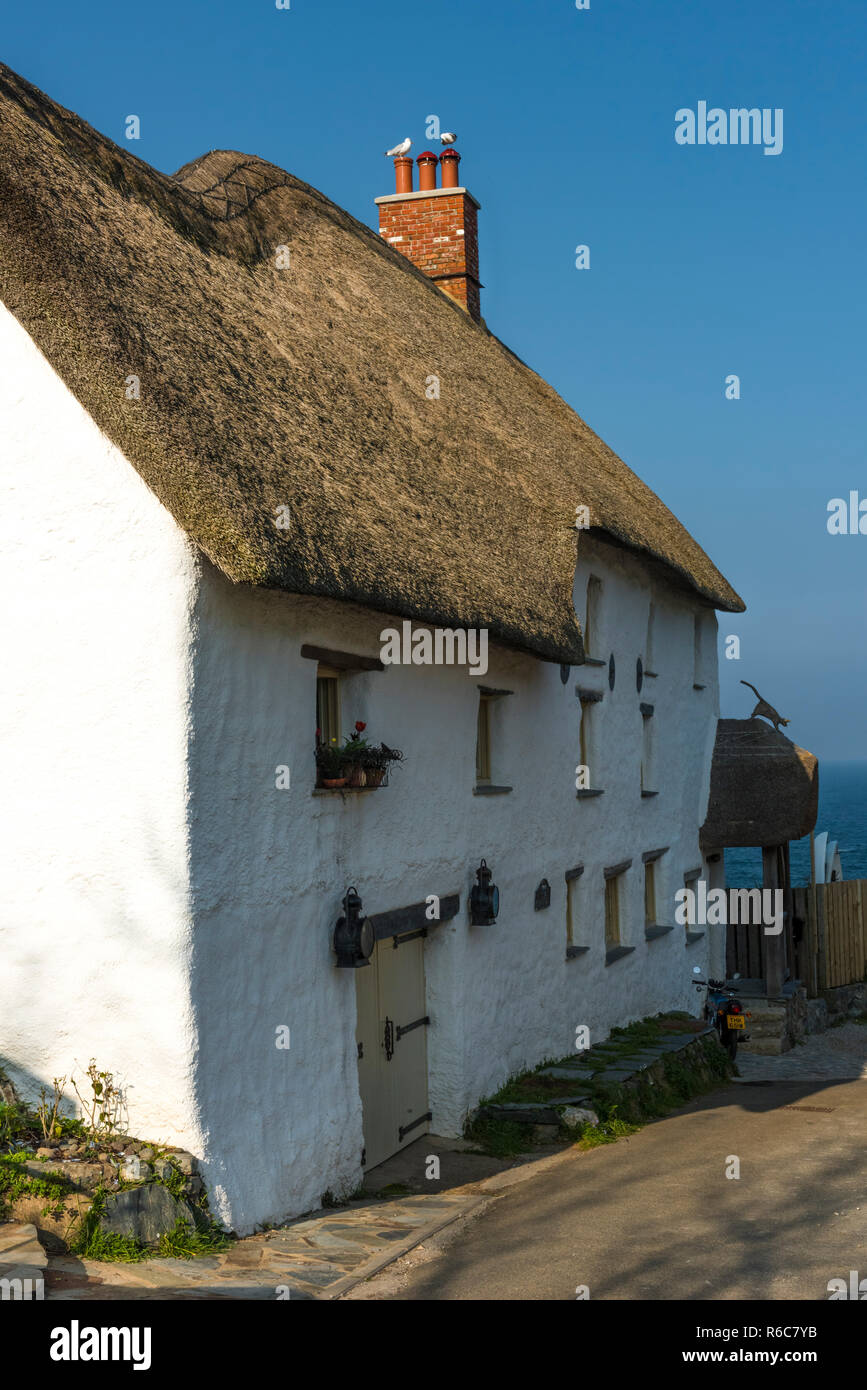 A Picturesque Thatched Cottage On A Quiet Lane In Church Cove On
