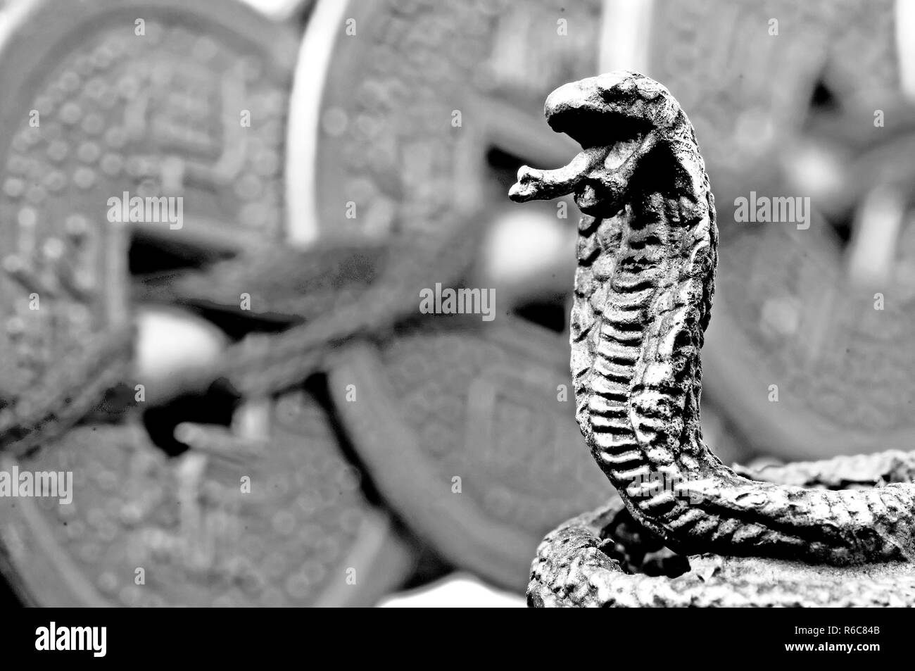Feng Shui Year Of The Snake Stock Photo Alamy