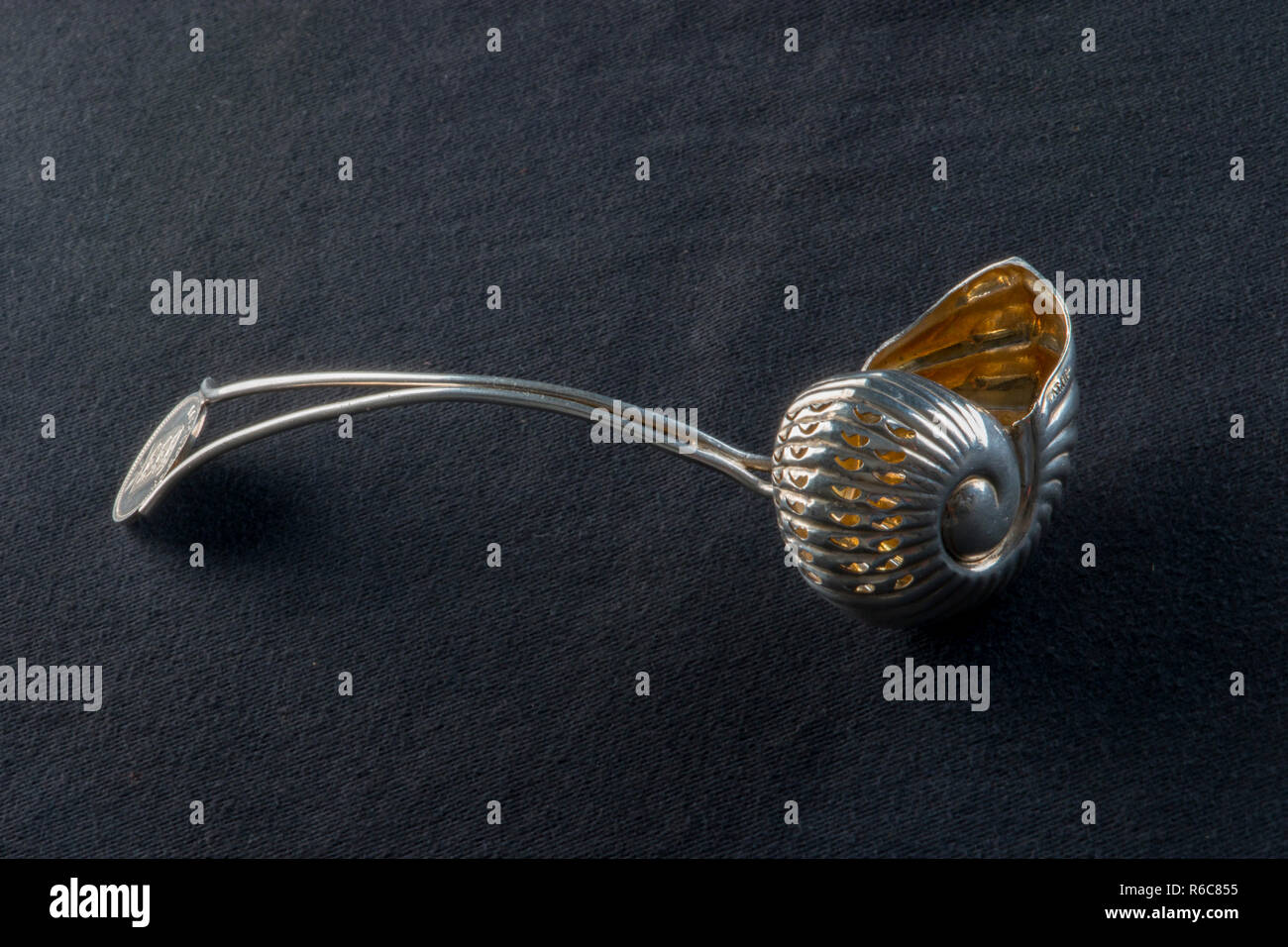 silver snail shaped spoon, gold lining, hallmark. Stock Photo