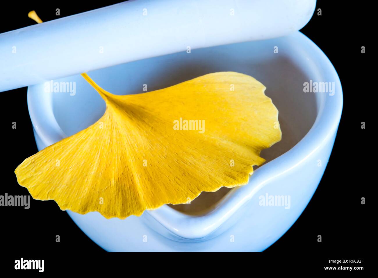 Ginkgo, Chinese Medicine Stock Photo Alamy