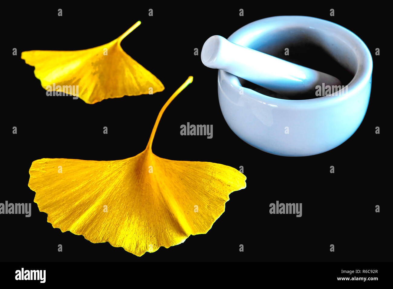 Ginkgo, Chinese Medicine Stock Photo Alamy