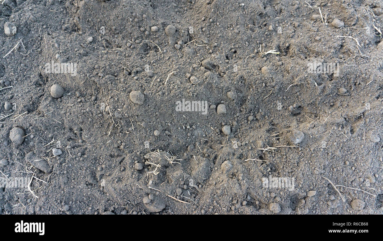 Ground in park on grass in the morning, below zero temperature. Top view background Stock Photo