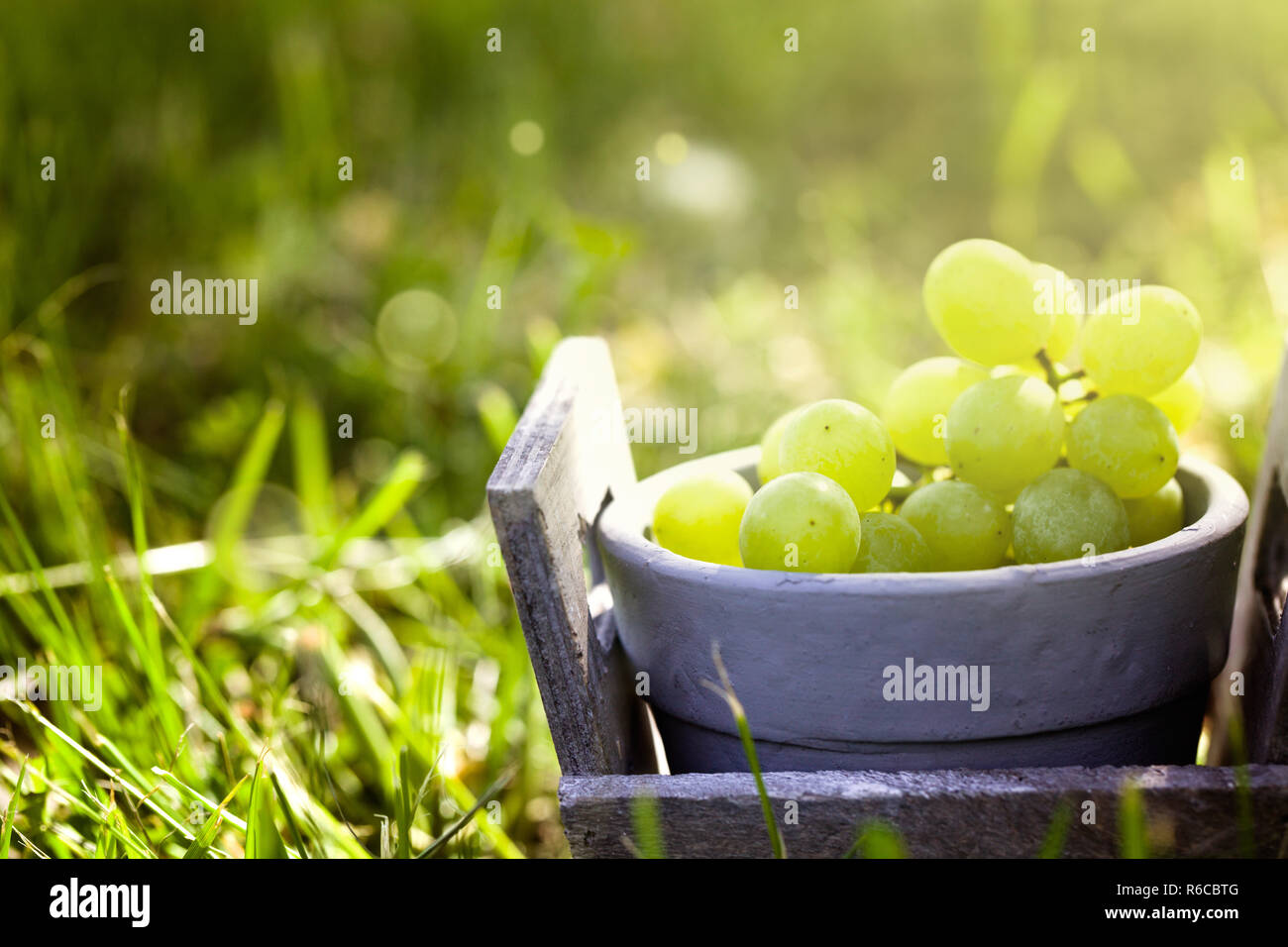 Fresh grapes in basket. Stock Photo