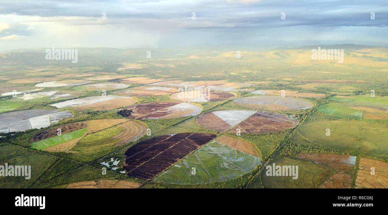 Different color agricultural lands aerial drone view Stock Photo