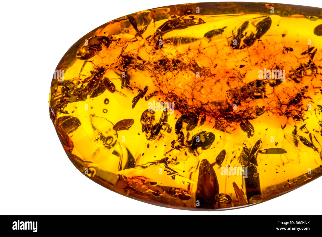 Amber With Inclusions Stock Photo - Alamy