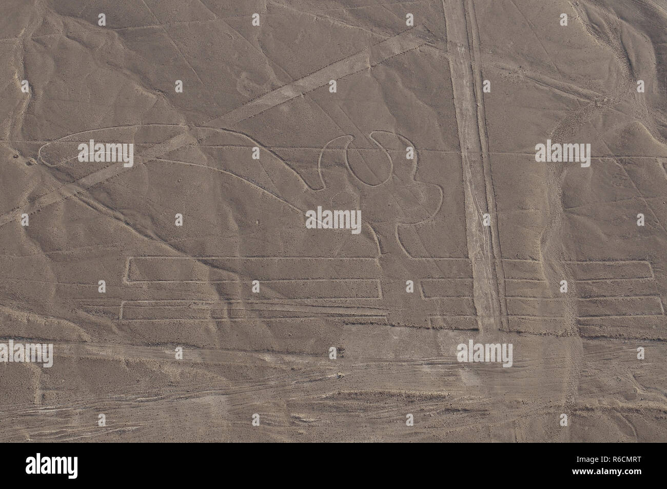 Peru, Lines Of Nasca, Aerial View, The Pelican Stock Photo