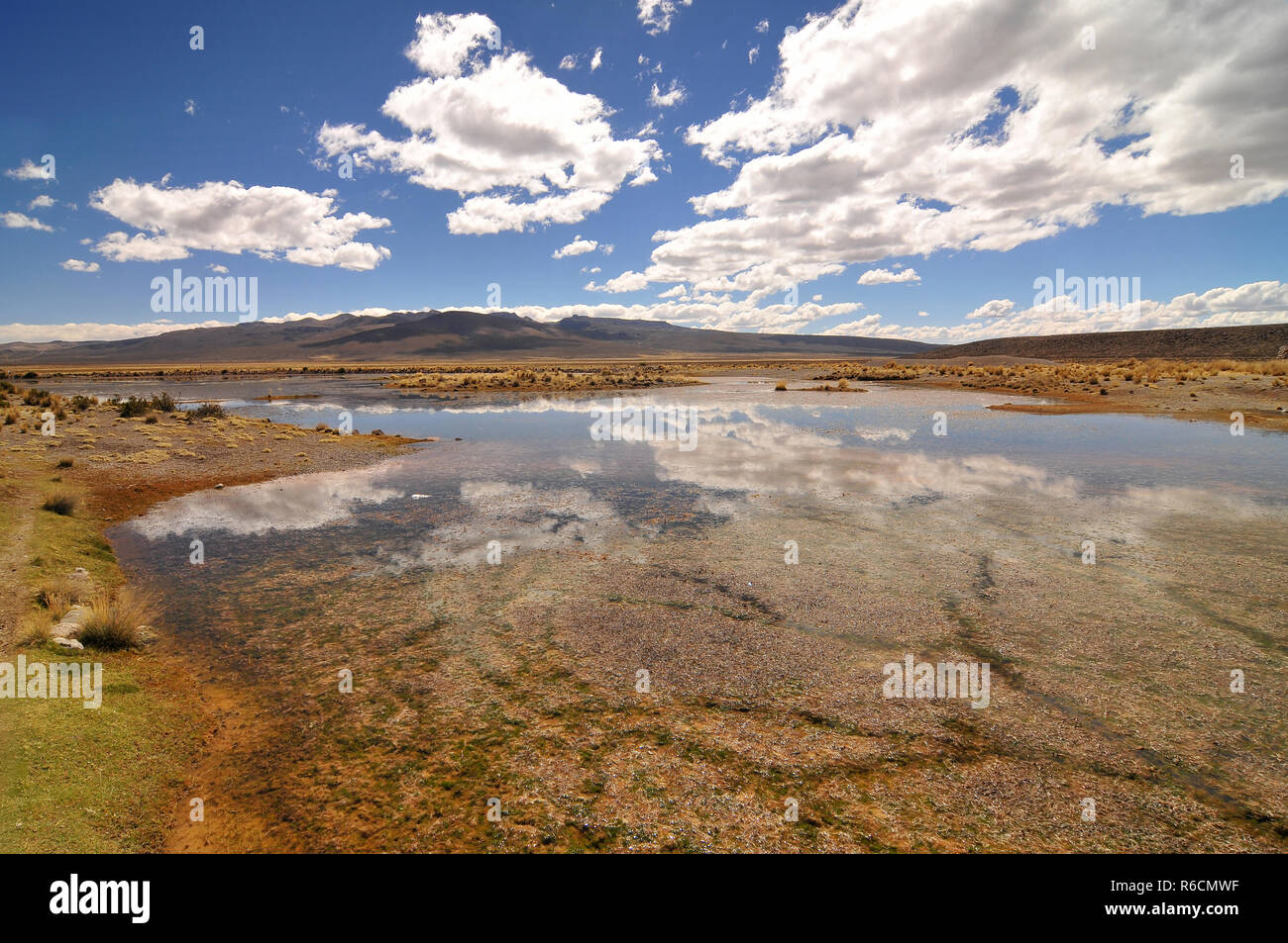 Peru, Salinas And Aguada Blanca National Reservation Stock Photo
