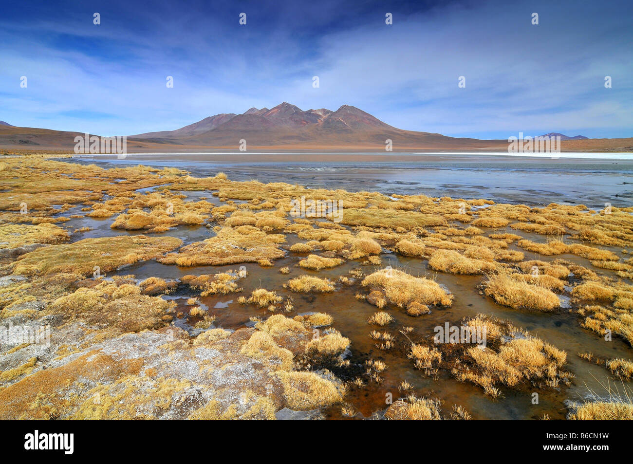 Bolivia, Laguna Blanca, Lake In The Sur Lipez Province, Potosi Department Stock Photo