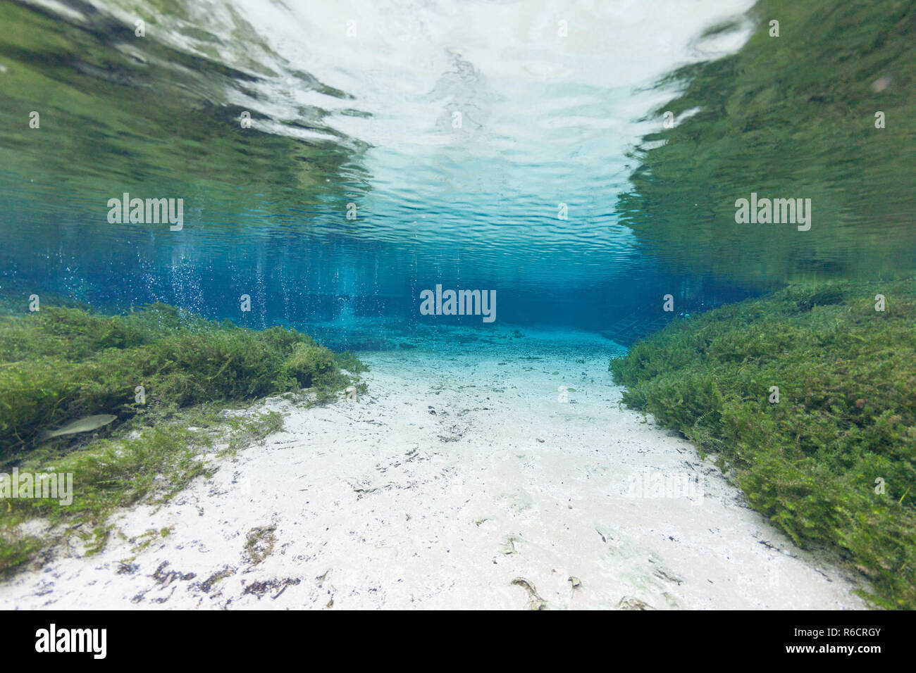 Dive into Paradise: Ginnie Springs Campground, Florida's Underwater Wonderland