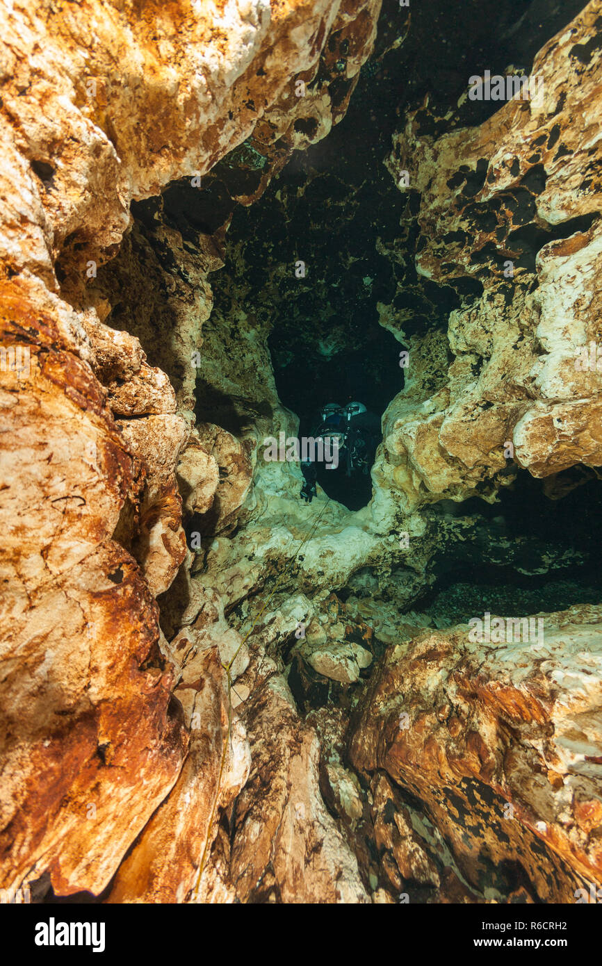 divers underwater caves diving Ginnie Springs Florida USA Stock Photo Alamy
