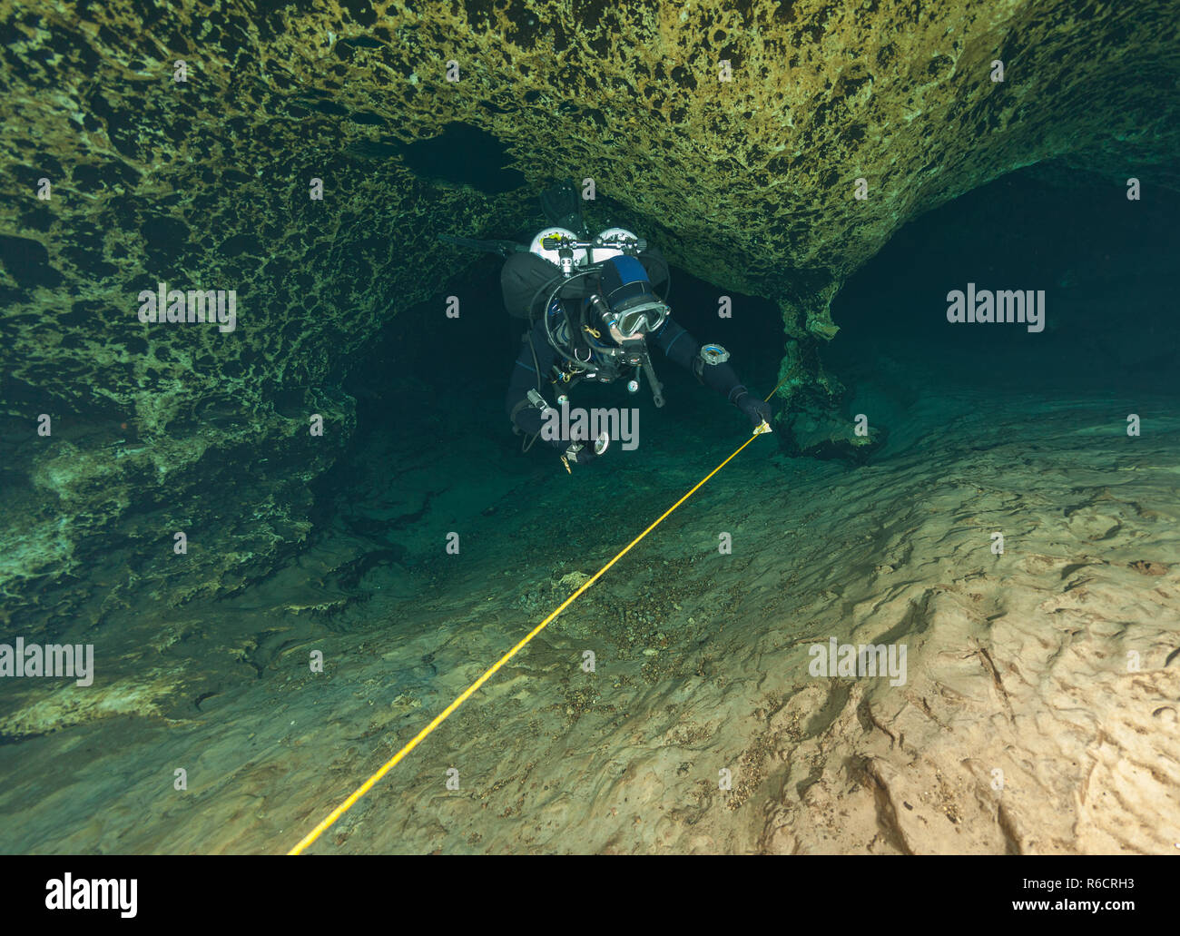 divers underwater caves diving Ginnie Springs Florida USA Stock Photo Alamy