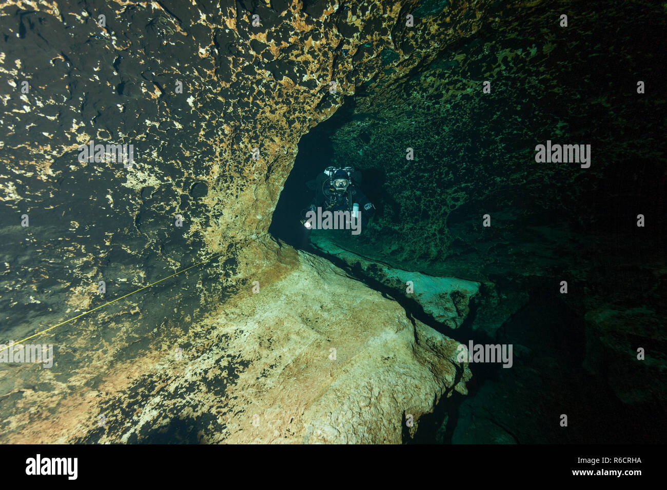 divers underwater caves diving Ginnie Springs Florida USA Stock Photo