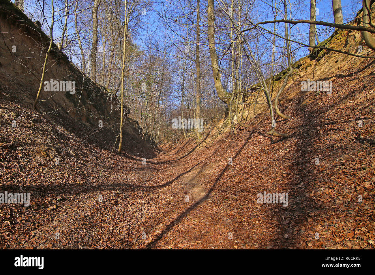 hollow path in the loess - the white hollow in nußloch Stock Photo