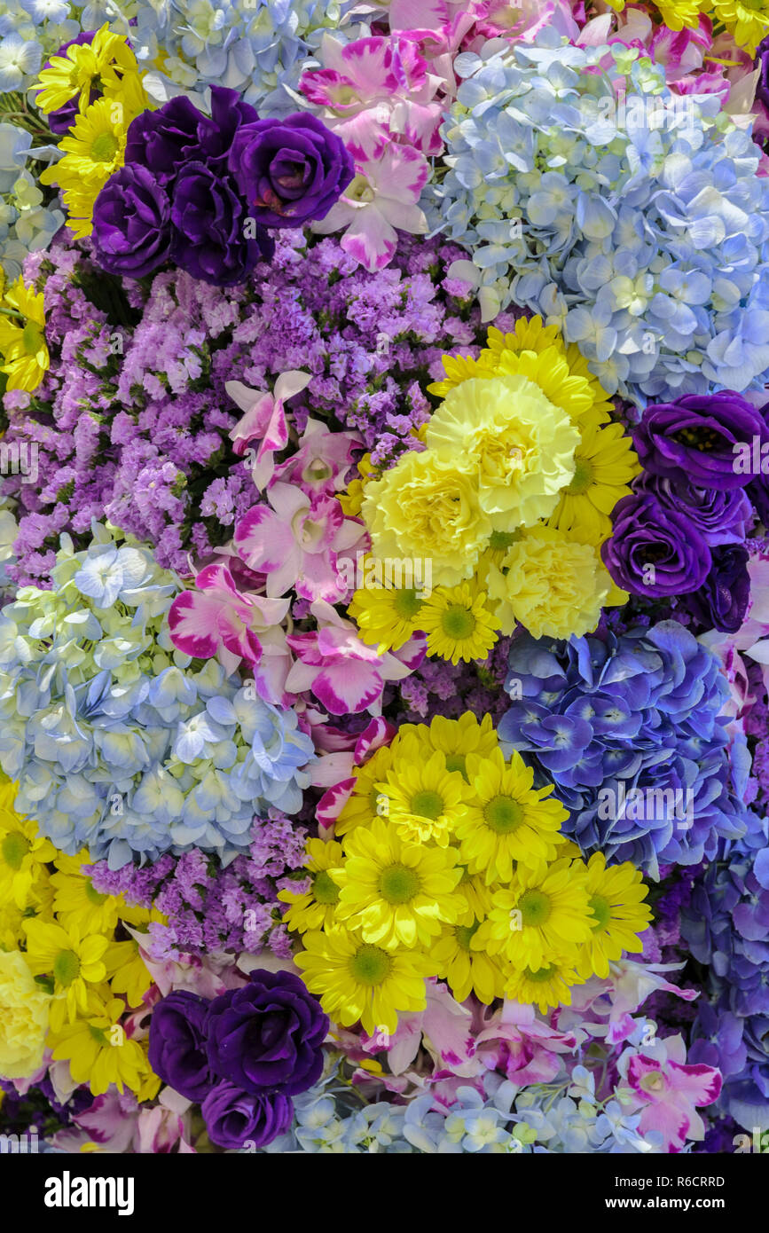 Beautiful fresh different types of colorful flowers decorated ...