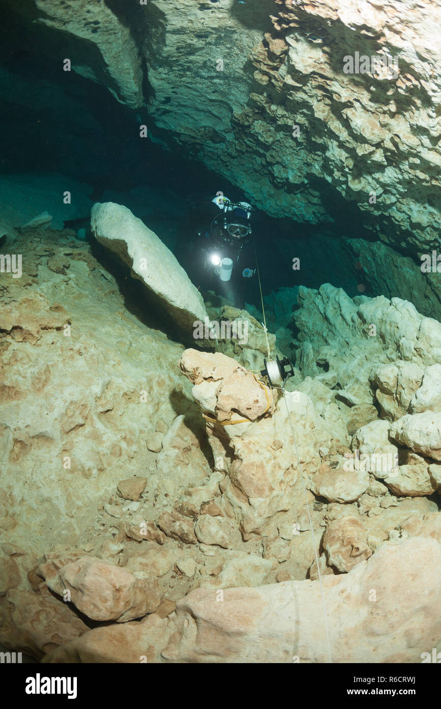 divers underwater caves diving Florida Jackson Blue cave USA Stock