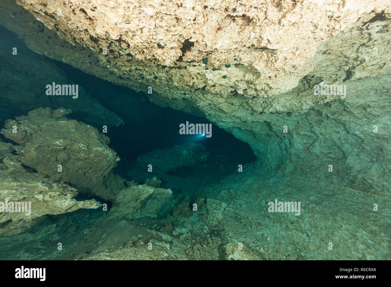 divers underwater caves diving Florida Jackson Blue cave USA Stock Photo Alamy