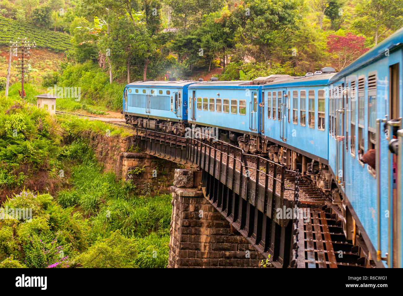 Train From Nuwara Eliya To Kandy Among Tea Plantations In The Highlands Of Sri Lanka Stock Photo
