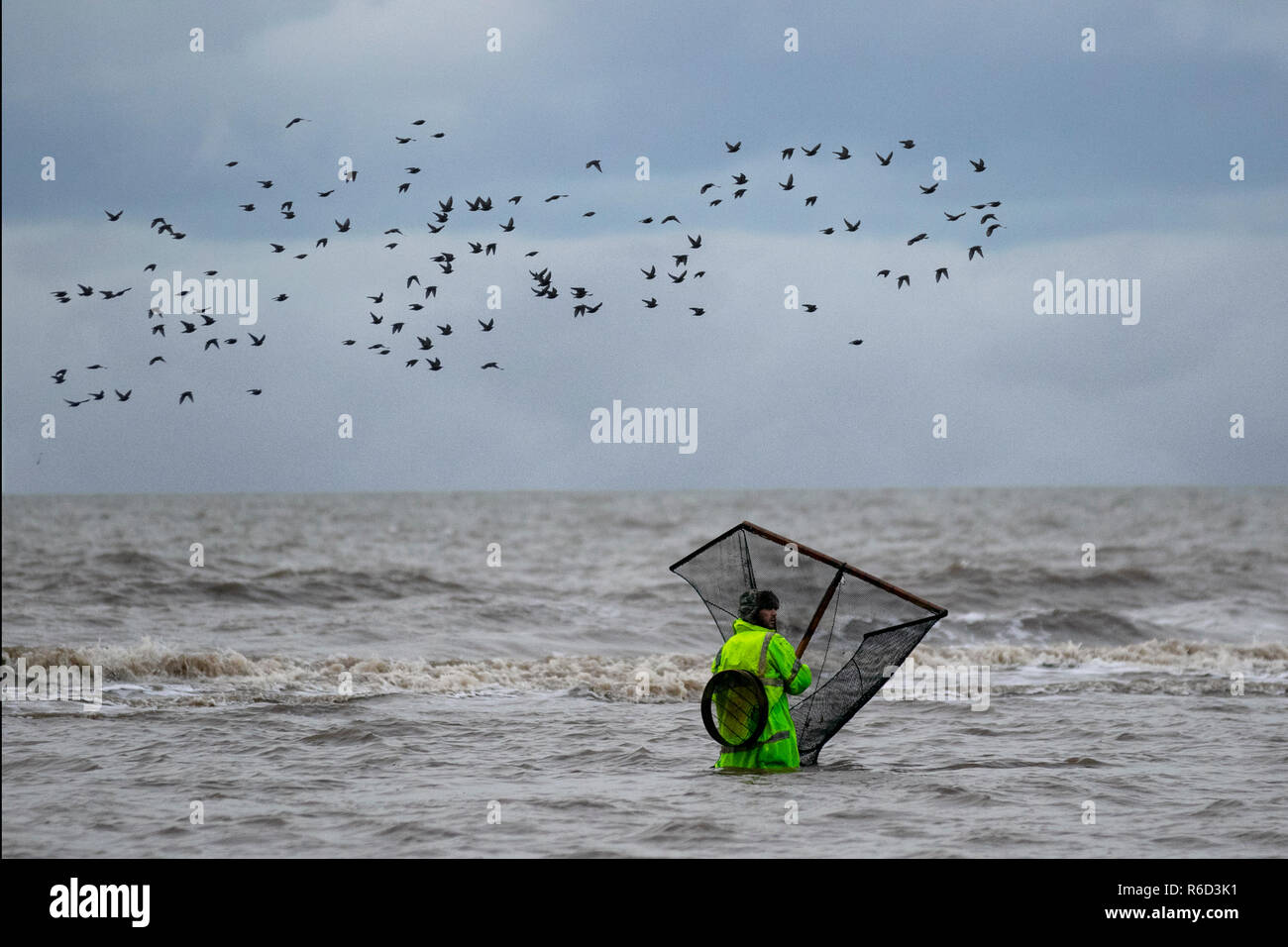 https://c8.alamy.com/comp/R6D3K1/shrimp-fisherman-in-blackpool-lancashire-dec-2018-uk-weather-grey-skies-as-push-net-shrimp-fishermen-trawl-the-shoreline-shrimp-push-nets-are-ideal-for-shrimping-and-prawning-but-locals-find-only-small-yields-blaming-the-water-quality-which-is-considered-too-clean-R6D3K1.jpg