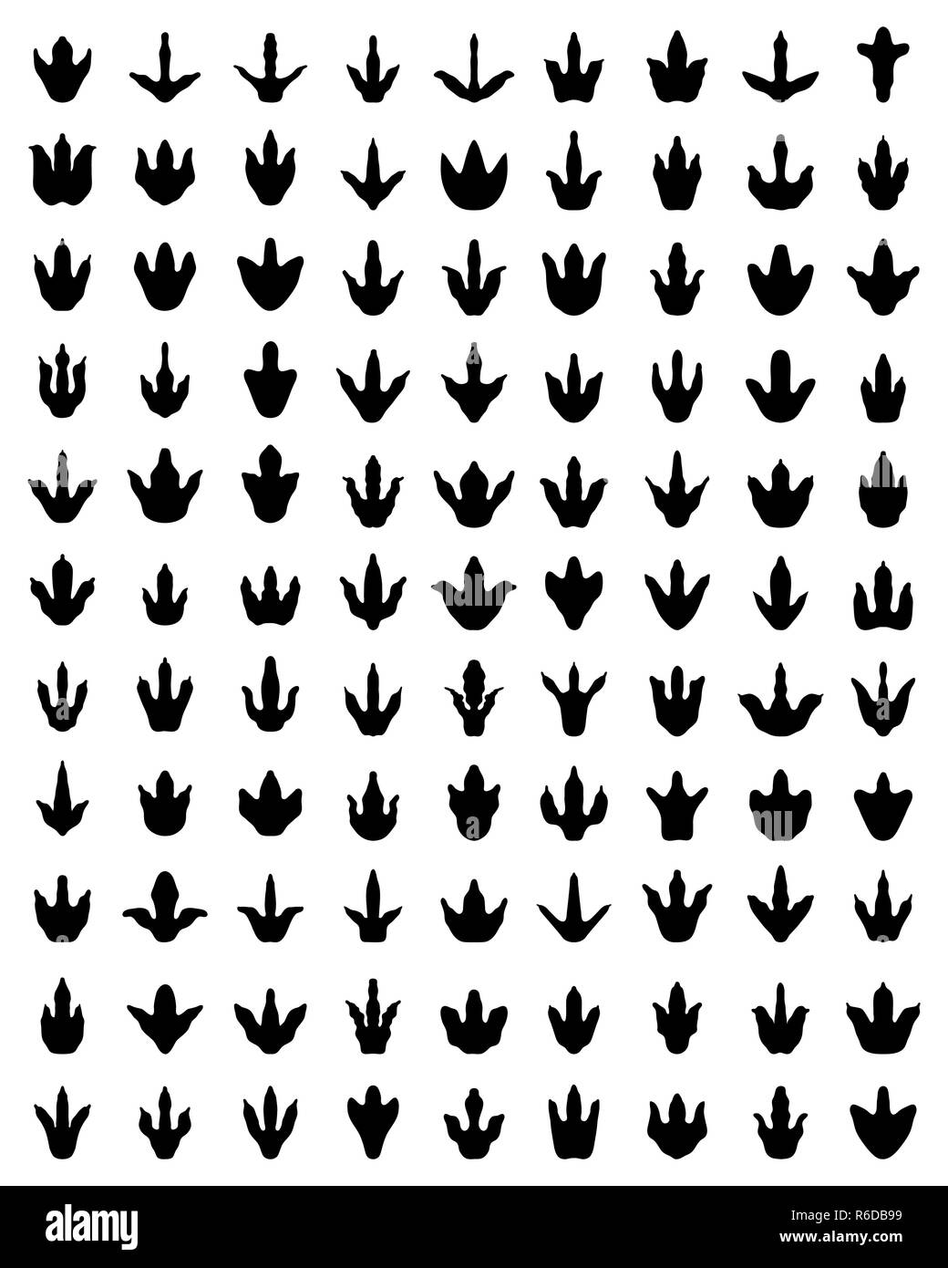Black footprints of dinosaurs on a white background Stock Photo