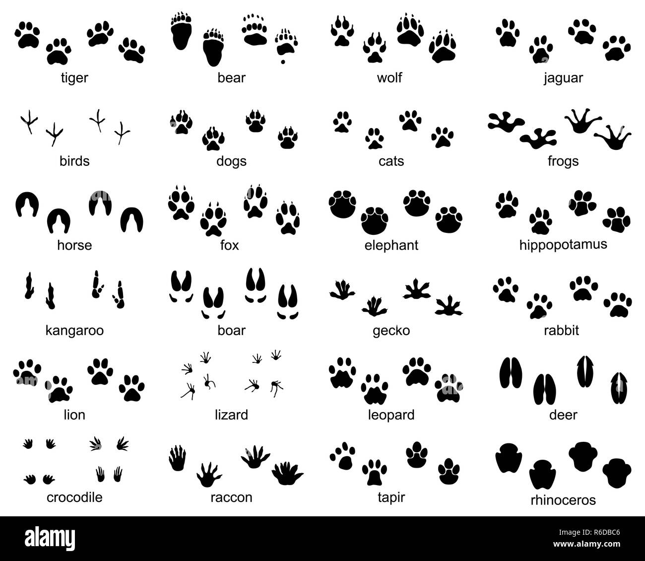 Rabbit Footprint Hi Res Stock Photography And Images Alamy Set Of Footprints Of Wild Animals Illustration Of Black Silhouette R6DBC6