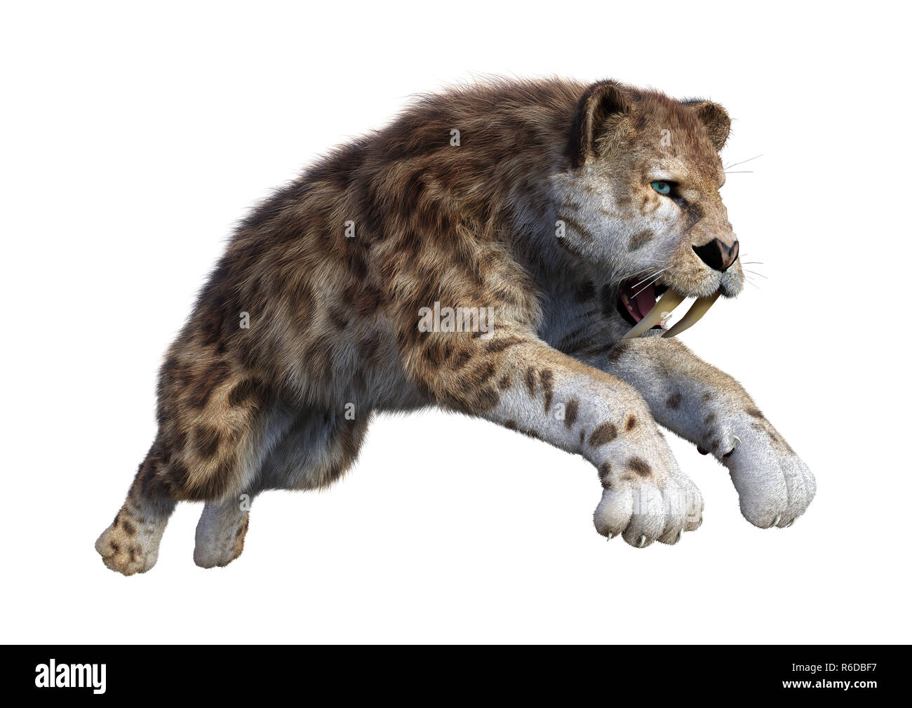 3D Rendering Sabertooth Tiger on White Stock Photo - Alamy