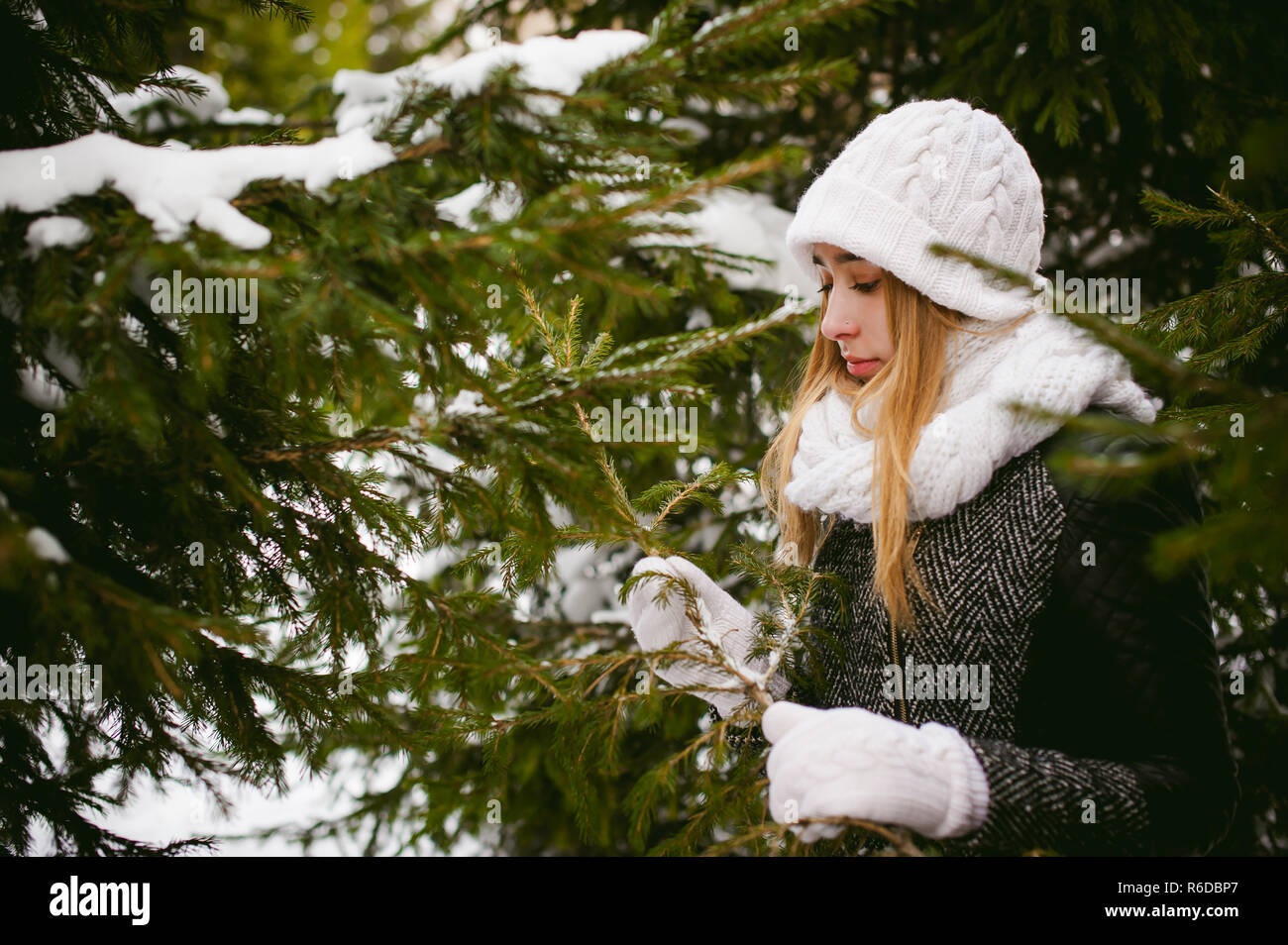 young woman in a forest with fir and pine trees on the street, hands touch the branches of trees, considering them. peridium winter, warm clothes, knitted mittens and scarf white Stock Photo