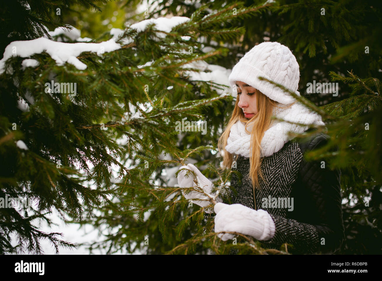 young woman in a forest with fir and pine trees on the street, hands touch the branches of trees, considering them. peridium winter, warm clothes, knitted mittens and scarf white Stock Photo