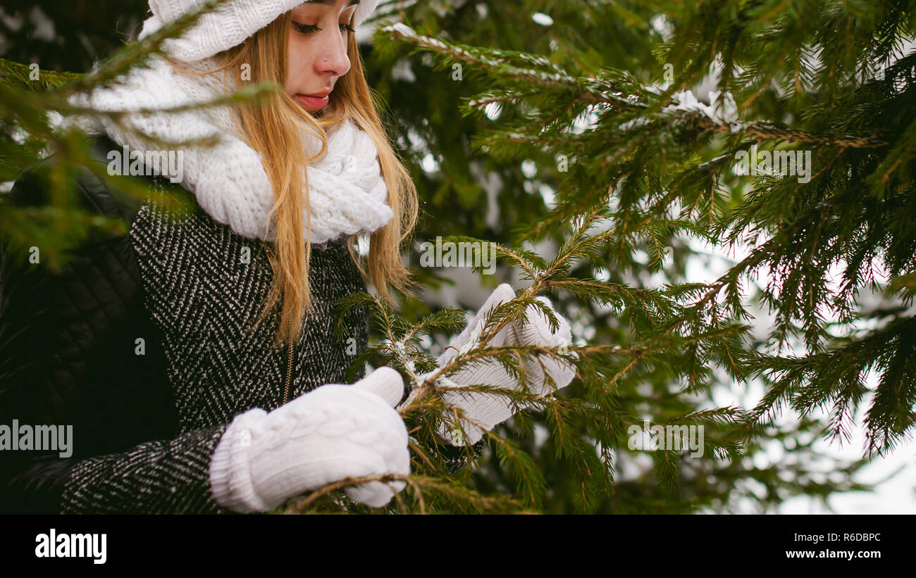young woman in a forest with fir and pine trees on the street, hands touch the branches of trees, considering them. peridium winter, warm clothes, knitted mittens and scarf white Stock Photo