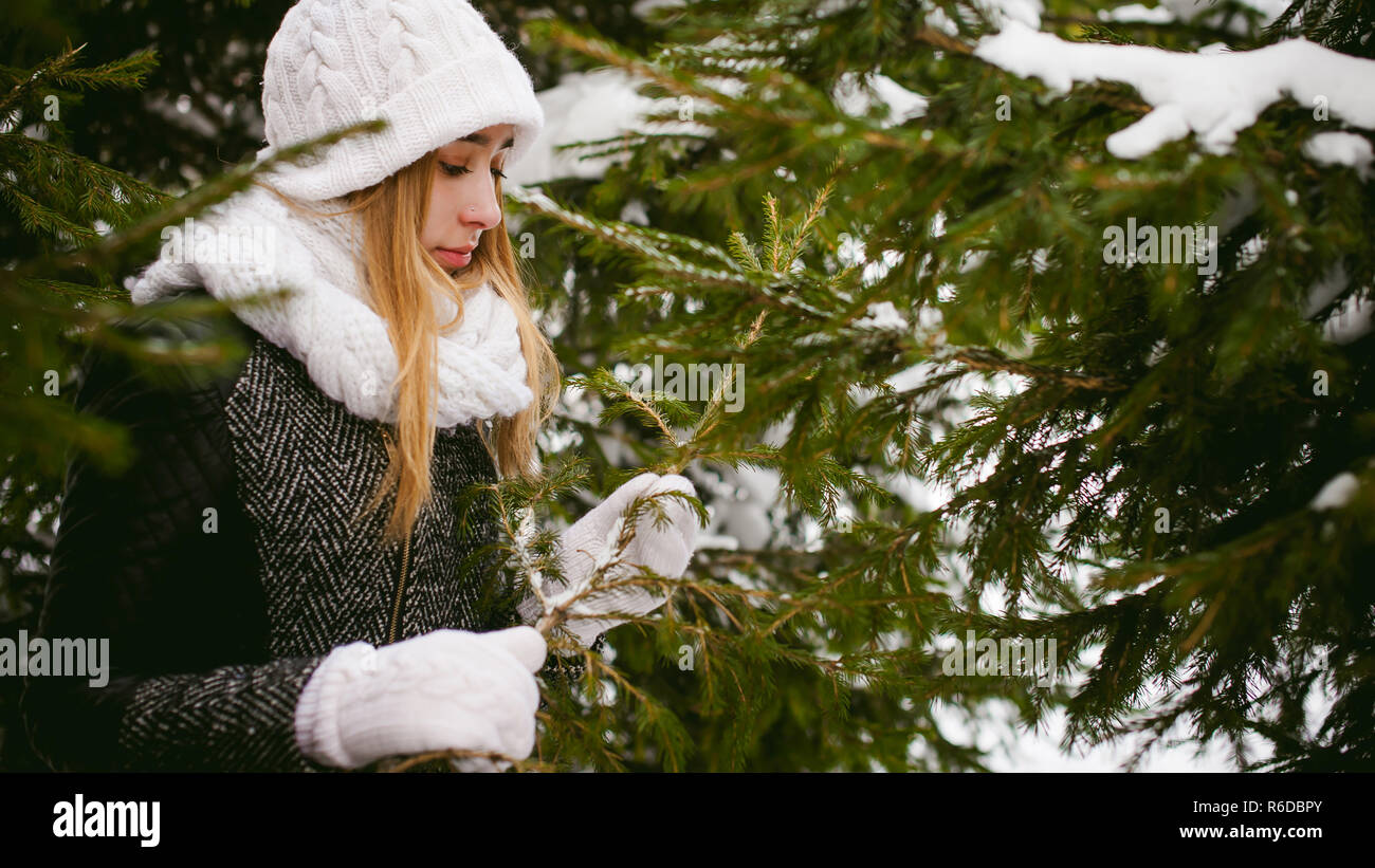 young woman in a forest with fir and pine trees on the street, hands touch the branches of trees, considering them. peridium winter, warm clothes, knitted mittens and scarf white Stock Photo