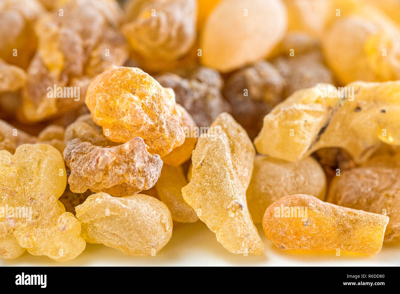 Boswellia serrata hi-res stock photography and images - Alamy