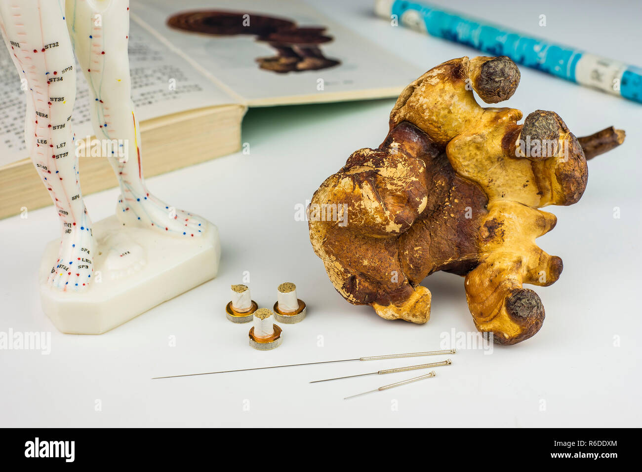 Acupuncture Needles, Model, Textbook, Moxa Roll And Reishi Mushroom Stock Photo Alamy
