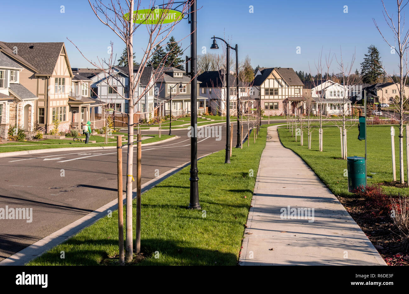 Row of houses in a neighborhood Wilsonville Oregon Stock Photo Alamy