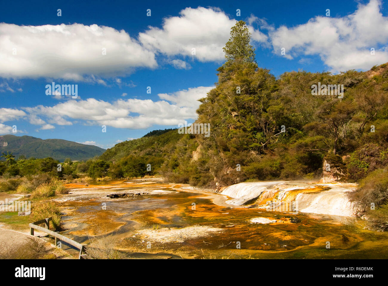 New Zealand, Rotorua, Waimangu Volcanic Thermal Area Valley Stock Photo ...