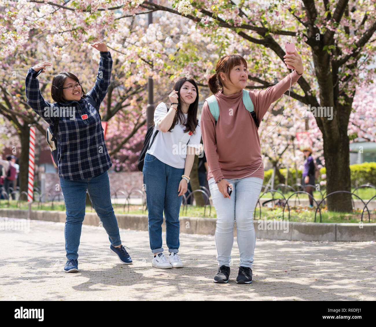 Girls pose for selfie in front of cherry blossom trees at Osaka Mint Bureau, Japan Stock Photo