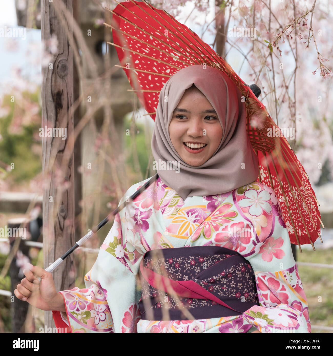 Girl wearing hijab and Kimono posing for photo in front of cherry blossoms  in Kyoto, Japan Stock Photo - Alamy